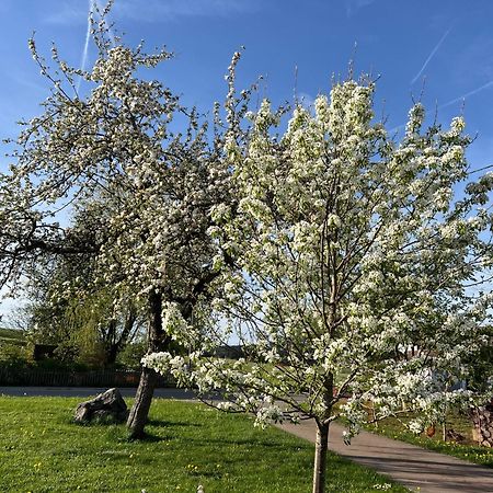 Kuh Heimat - Bergblick - Terrasse Leilighet Buchenberg  Eksteriør bilde