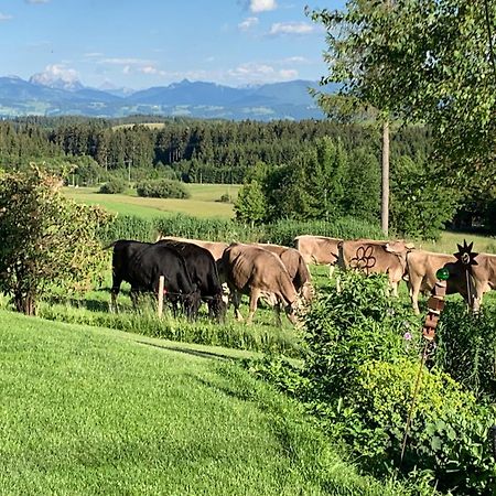 Kuh Heimat - Bergblick - Terrasse Leilighet Buchenberg  Eksteriør bilde