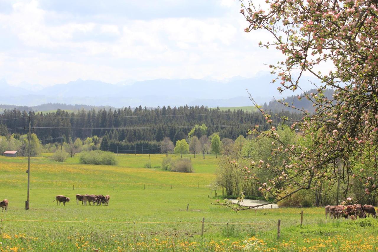 Kuh Heimat - Bergblick - Terrasse Leilighet Buchenberg  Eksteriør bilde