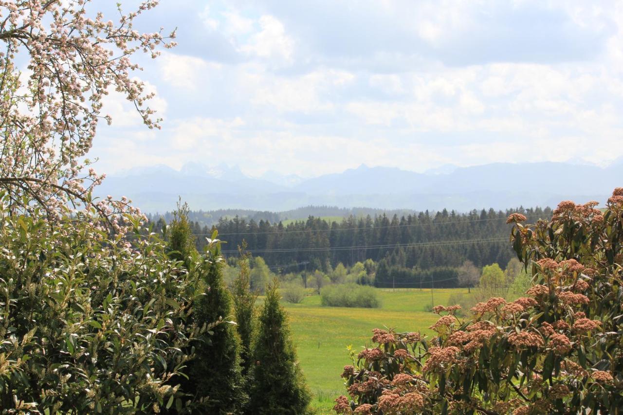 Kuh Heimat - Bergblick - Terrasse Leilighet Buchenberg  Eksteriør bilde