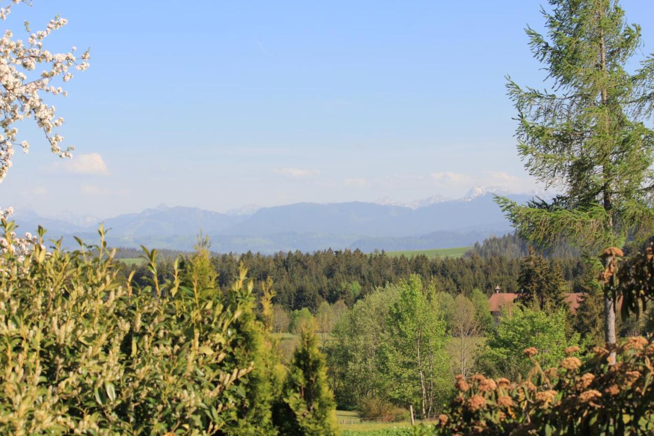 Kuh Heimat - Bergblick - Terrasse Leilighet Buchenberg  Eksteriør bilde