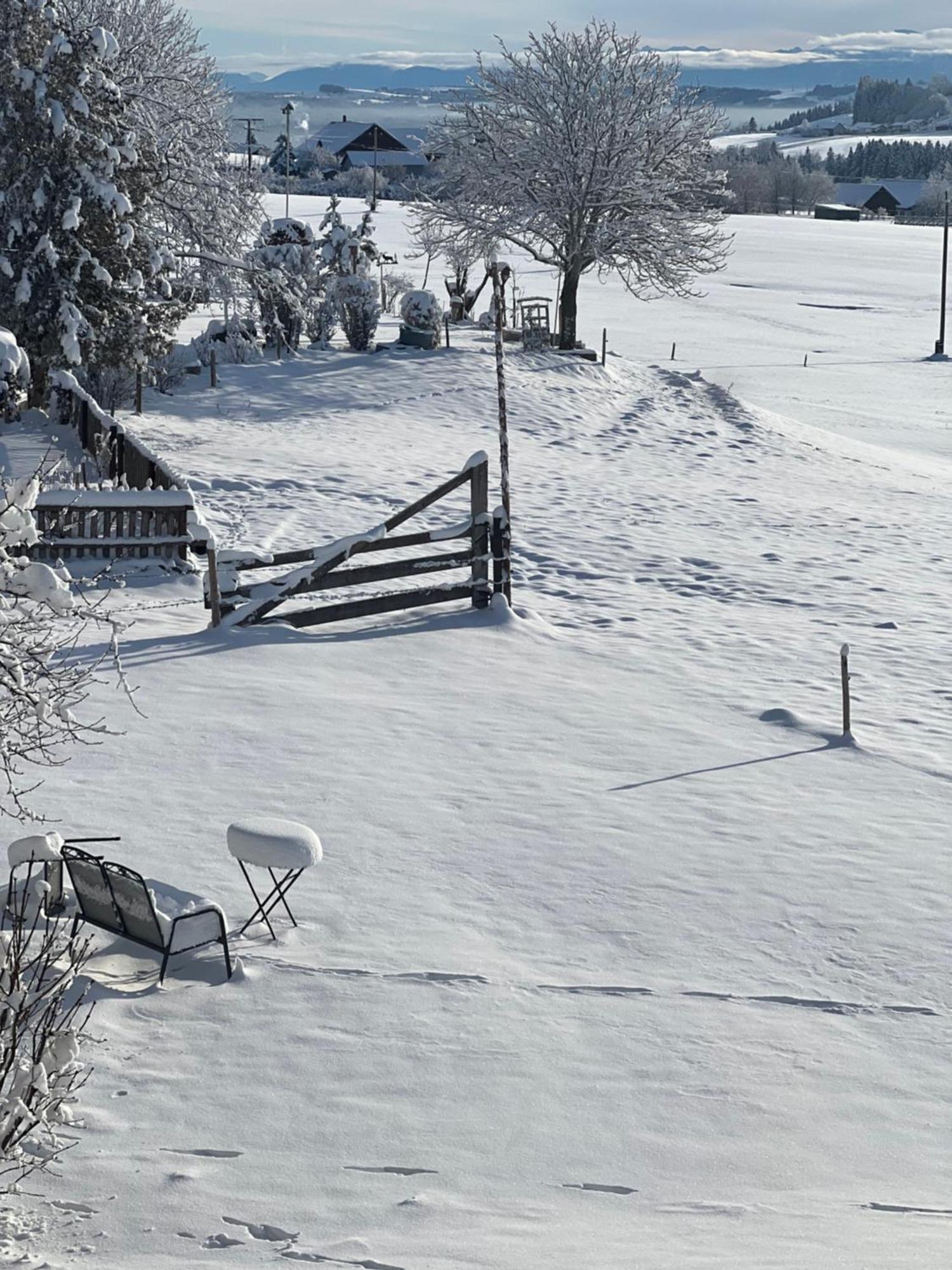 Kuh Heimat - Bergblick - Terrasse Leilighet Buchenberg  Eksteriør bilde