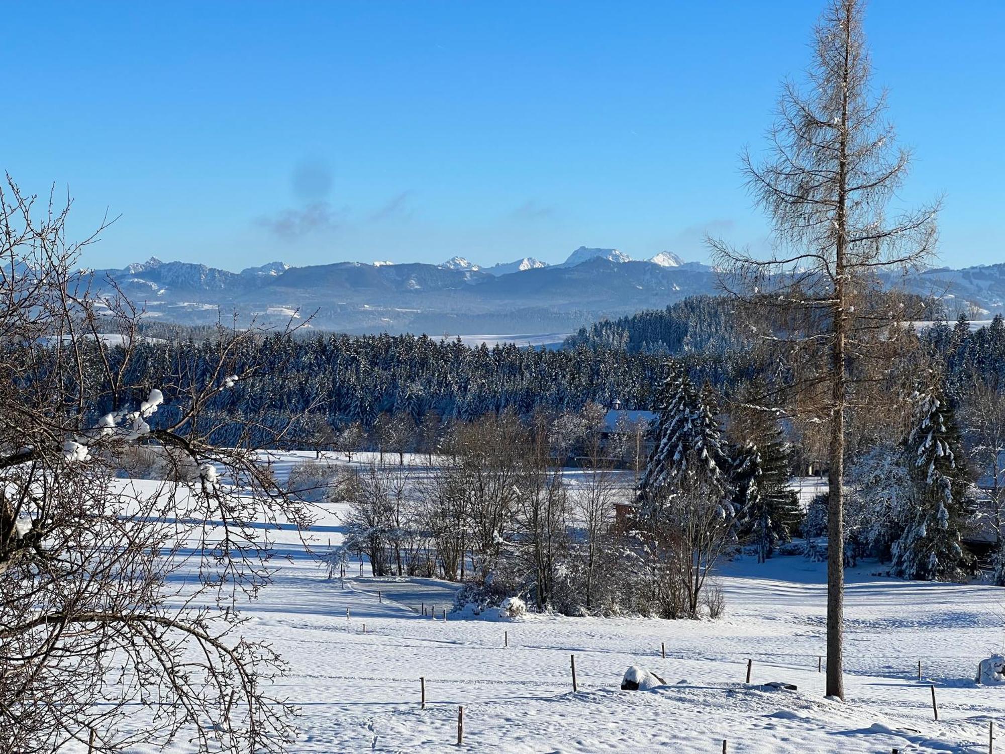 Kuh Heimat - Bergblick - Terrasse Leilighet Buchenberg  Eksteriør bilde